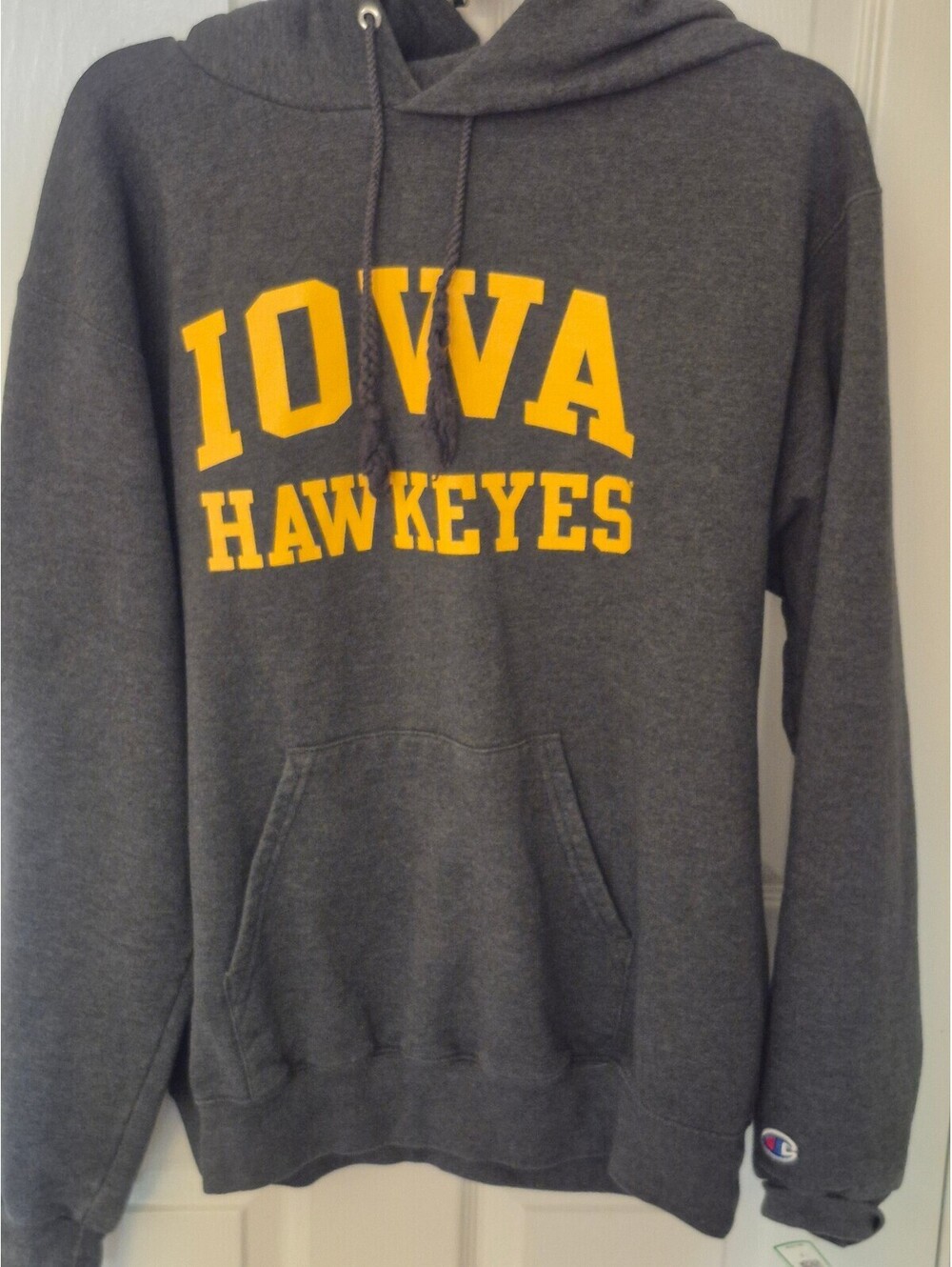 Champion Authentic Athleticwear Hooded Sweatshirt Hoodie Dark Gray